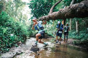 BIB: 
                            <button type="button" onclick="openModal(25368975)" class="btn btn-primary btn-sm float-right btn-popup" data-toggle="modal" data-target=".modal-high-quality">
                        <i class="fas fa-shopping-cart"></i> Add to Cart
                    </button>
                                            <button type="button" onclick="isThisMe(25368975, true)" class="btn btn-success btn-sm float-right btn-popup btn-isme hidden" data-toggle="tooltip" data-placement="bottom" title="นี่คือรูปของคุณใช่ไหม คลิกที่นี่เพื่อเอาเข้าอัลบั้ม">
                        <i class="fas fa-plus"></i> Add to album
                    </button>
                    <button type="button" onclick="isThisMe(25368975, false)" class="btn btn-warning btn-sm float-right btn-popup btn-isnotme hidden">
                        <i class="fas fa-ban"></i> Remove from album
                    </button>